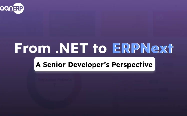  From .NET to ERPNext: A Senior Developer’s Perspective